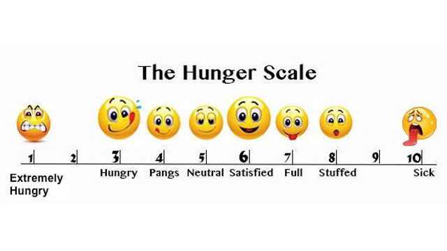 hunger scale coping with hunger